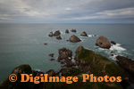 Nugget Point 0652